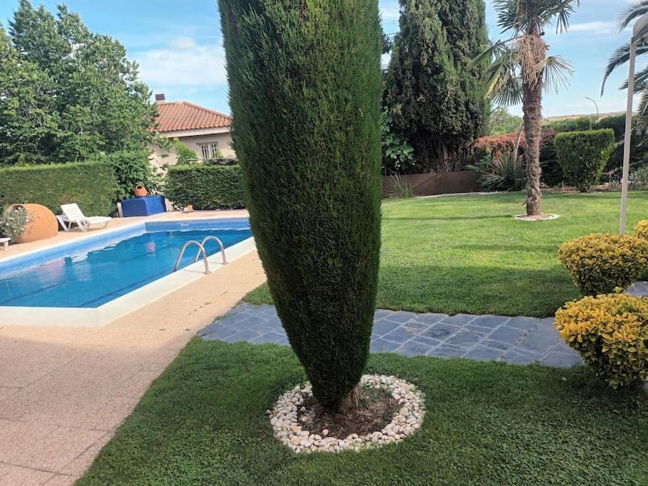 Madrid City Modern Apartment In Villa, Free Wifi Arroyomolinos Zewnętrze zdjęcie